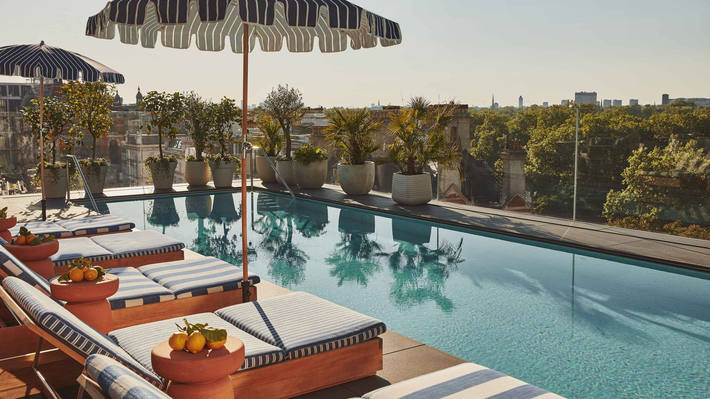 Lounge chairs and striped umbrellas beside a rooftop pool, with potted plants and a city view.
