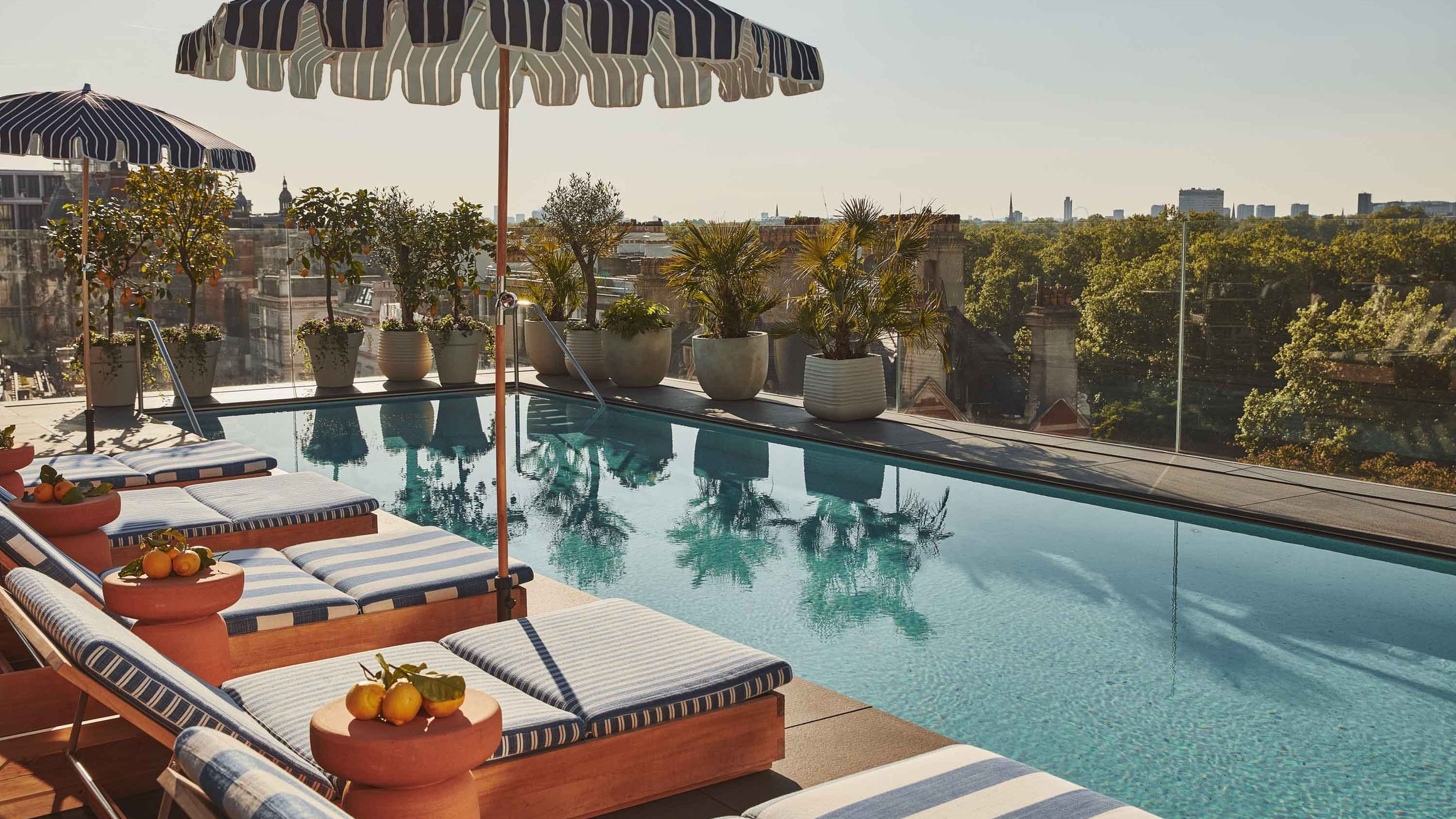 Lounge chairs and striped umbrellas beside a rooftop pool, with potted plants and a city view.