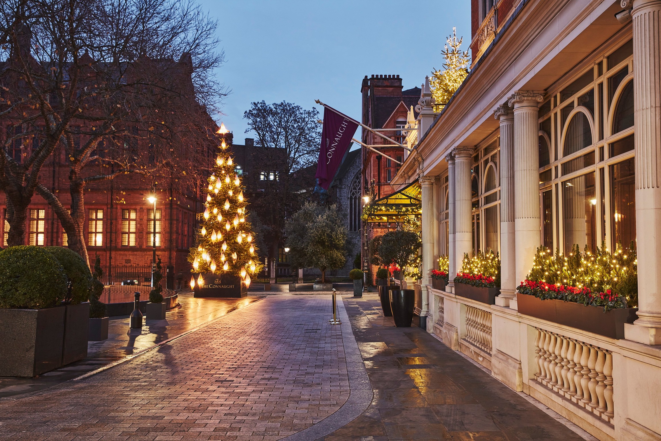 The Connaught’s 2024 Christmas tree glows with golden lanterns in Mount Street’s elegant, festive evening setting.