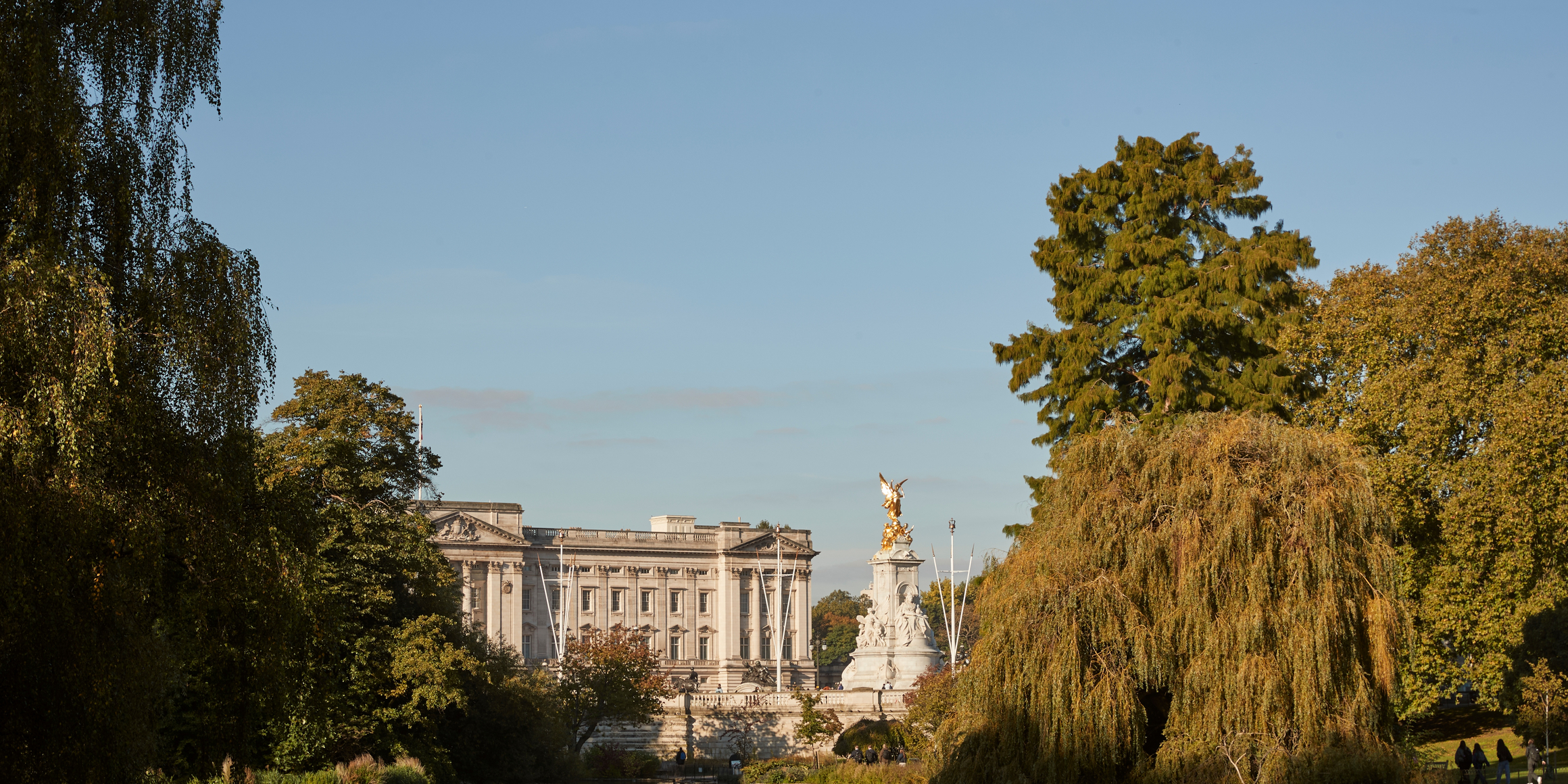 A scenic view of Buckingham Palace and the Victoria Memorial, framed by lush greenery and reflected in a tranquil pond.