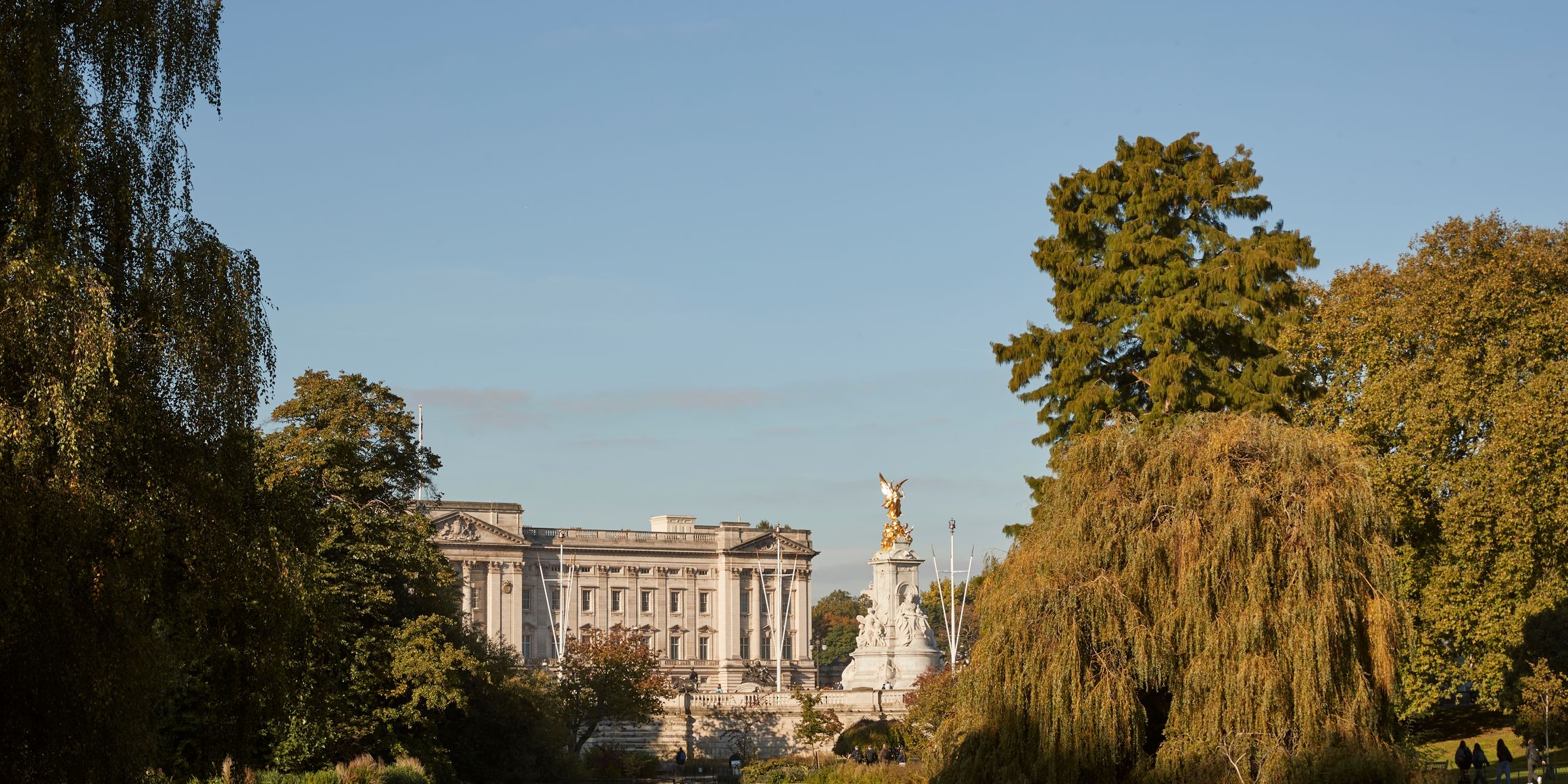A scenic view of Buckingham Palace and the Victoria Memorial, framed by lush greenery and reflected in a tranquil pond.