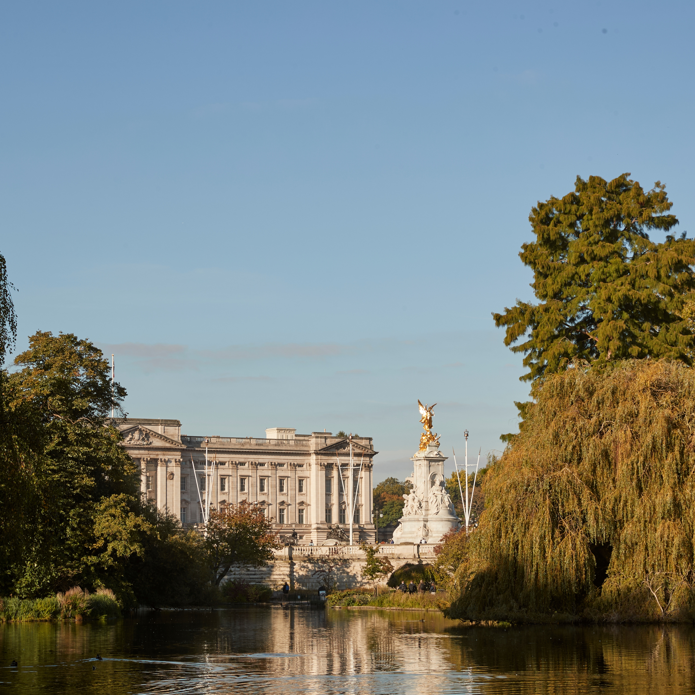 A scenic view of Buckingham Palace and the Victoria Memorial, framed by lush greenery and reflected in a tranquil pond.