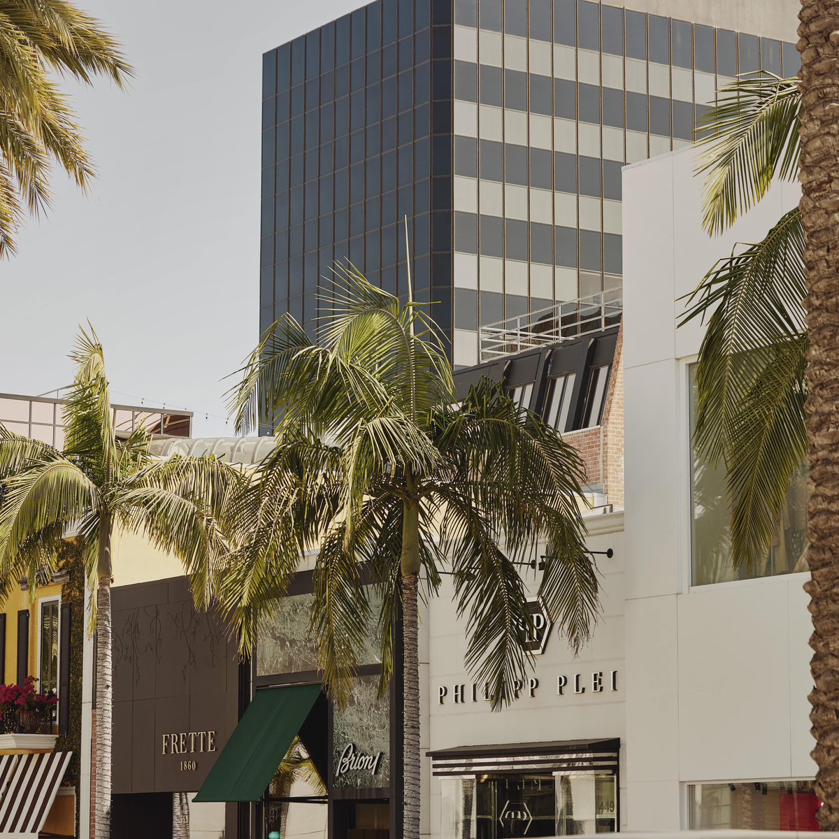 Hollywood street view of a number of stores including Frette, Philipp Plein and Max Mara. Palm trees are located in the foreground and a tall building with blacked out windows in the background.