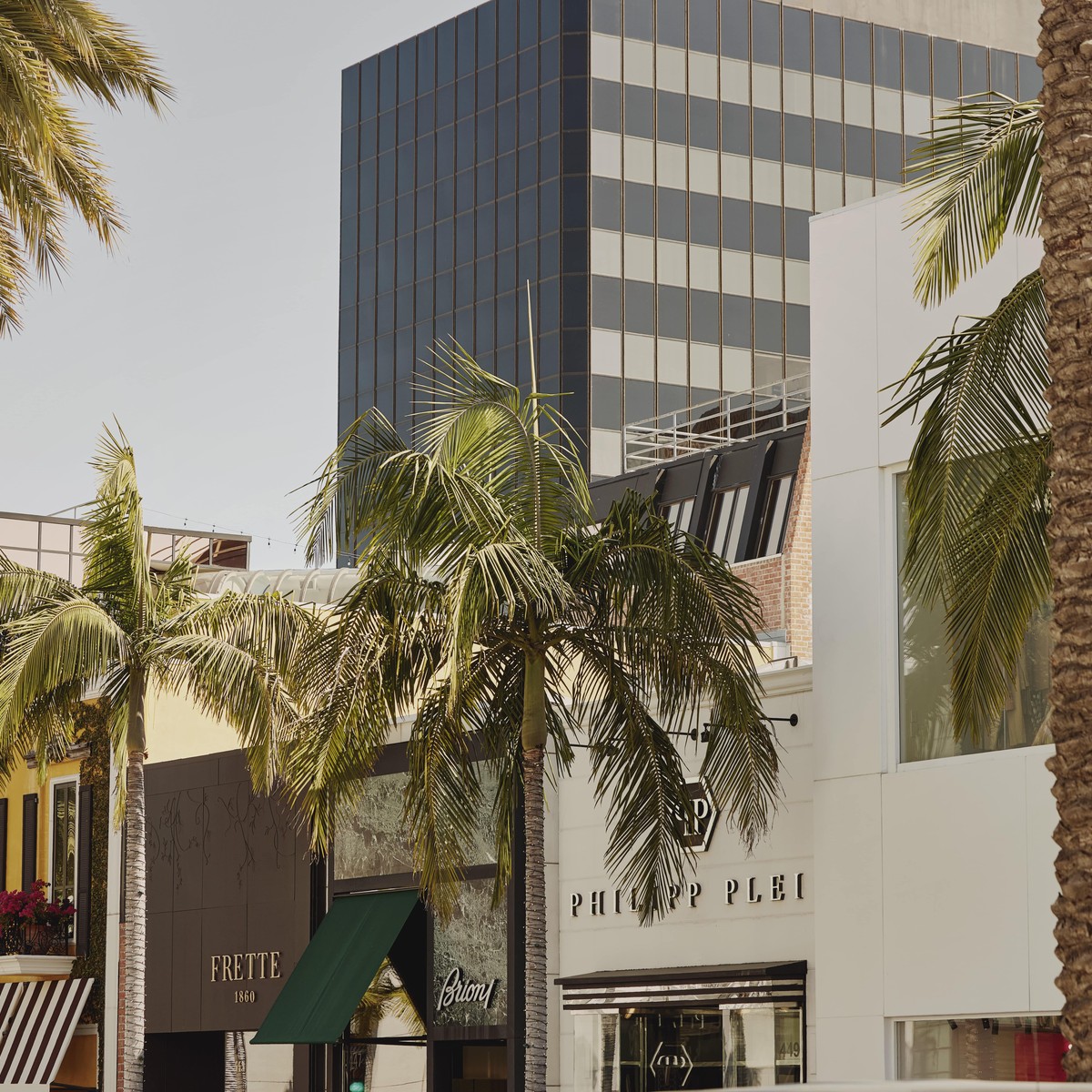 Hollywood street view of a number of stores including Frette, Philipp Plein and Max Mara. Palm trees are located in the foreground and a tall building with blacked out windows in the background.