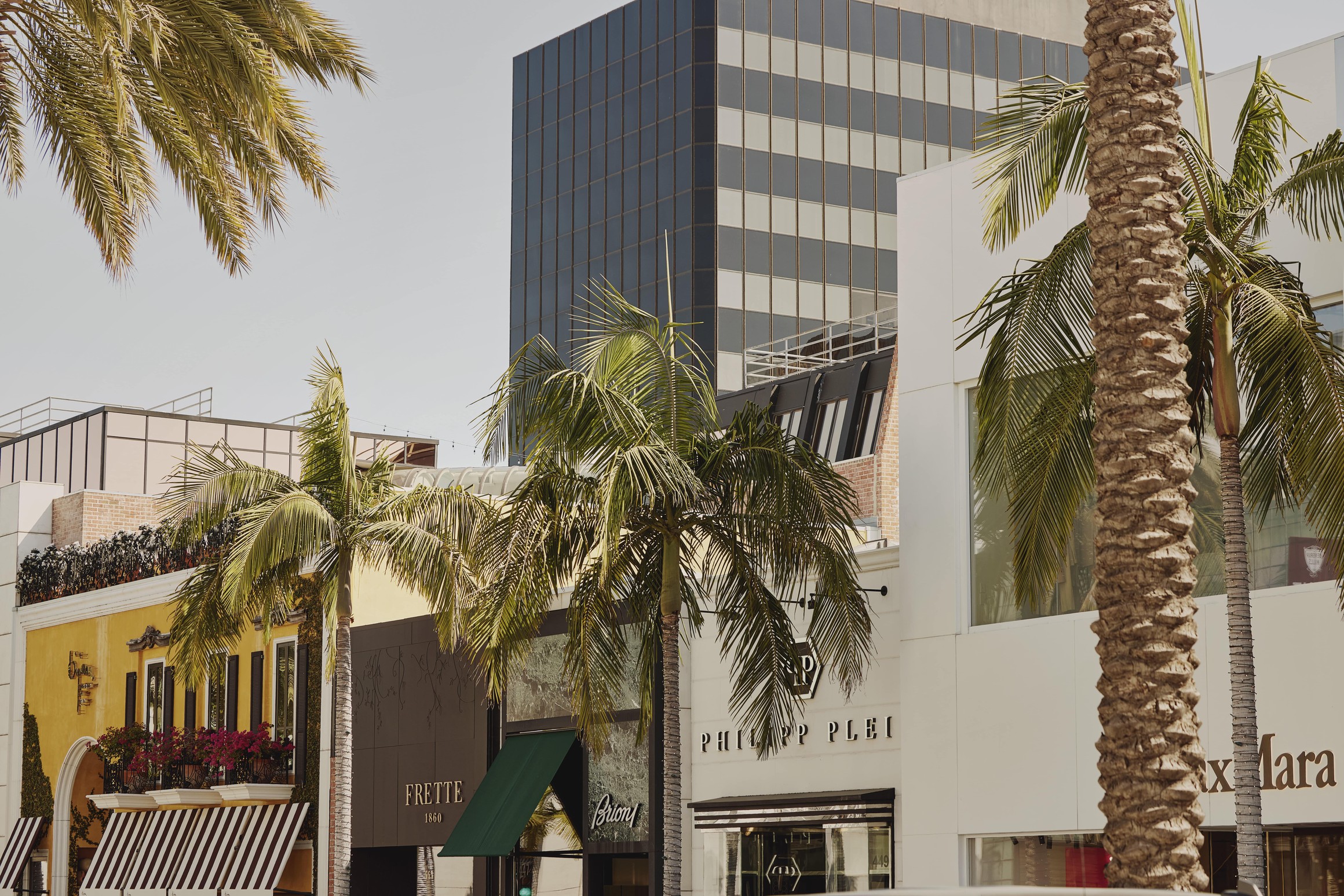 Hollywood street view of a number of stores including Frette, Philipp Plein and Max Mara. Palm trees are located in the foreground and a tall building with blacked out windows in the background.