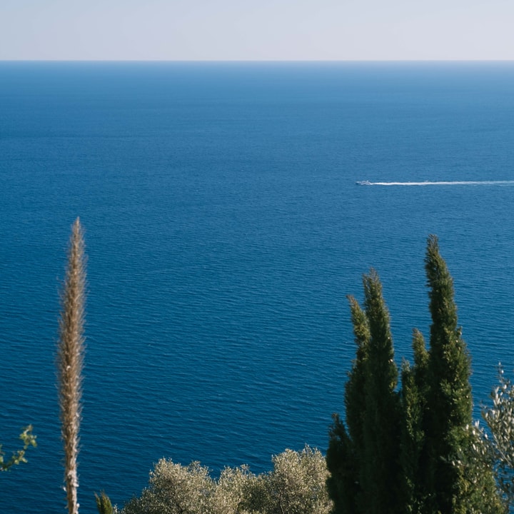Tranquil blue ocean with a yacht in the distance. Trees and greenery gather in the foreground
